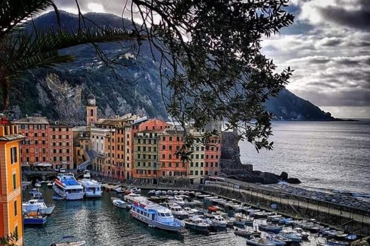 Rosablu Vacanza Tra Mare E Parco Di Portofino Camogli Exteriör bild