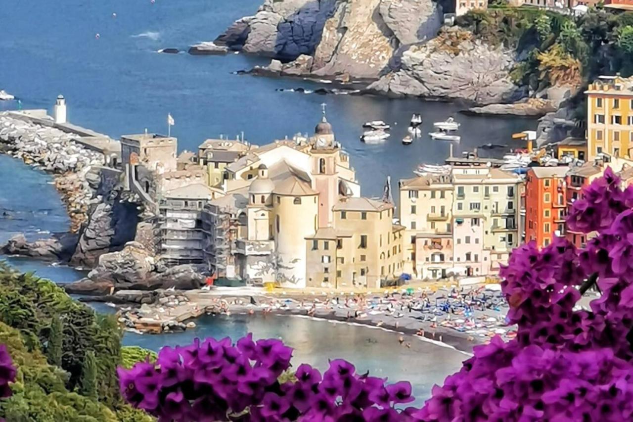 Rosablu Vacanza Tra Mare E Parco Di Portofino Camogli Exteriör bild