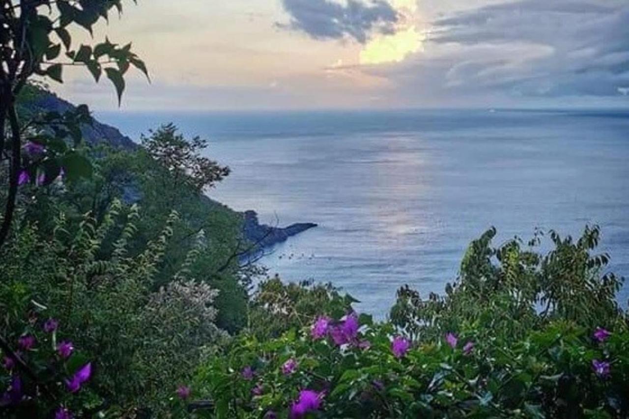 Rosablu Vacanza Tra Mare E Parco Di Portofino Camogli Exteriör bild