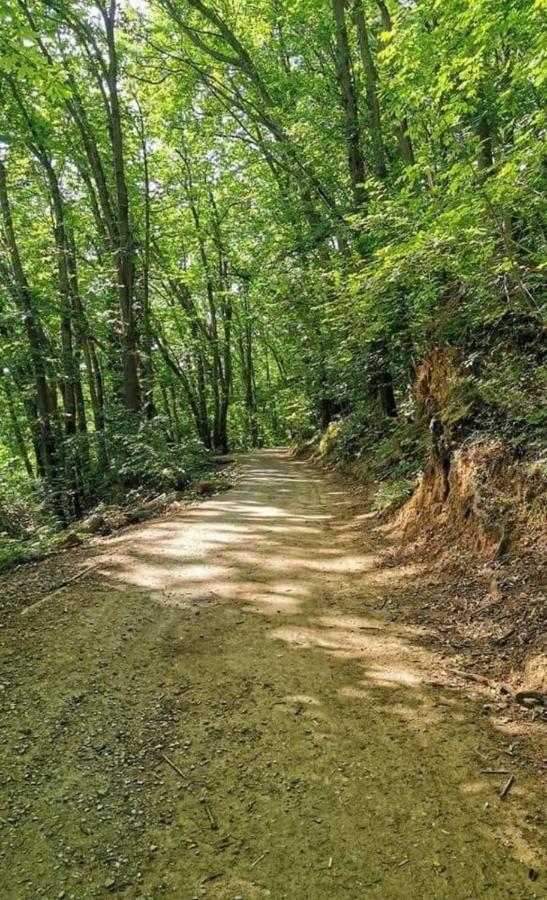 Rosablu Vacanza Tra Mare E Parco Di Portofino Camogli Exteriör bild