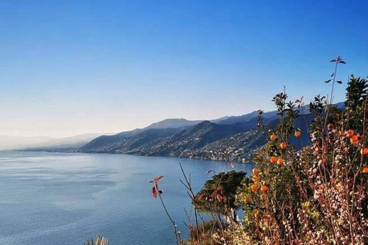Rosablu Vacanza Tra Mare E Parco Di Portofino Camogli Exteriör bild
