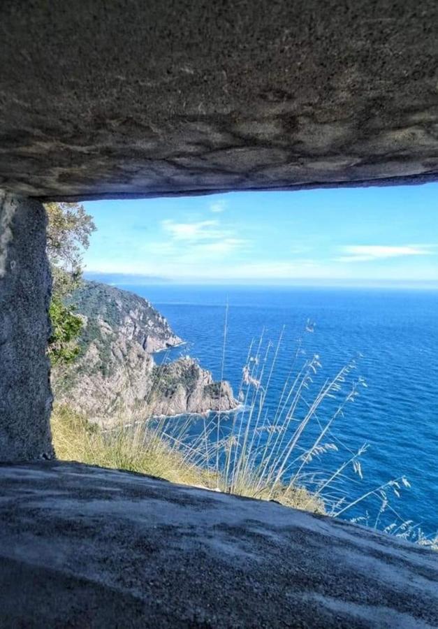 Rosablu Vacanza Tra Mare E Parco Di Portofino Camogli Exteriör bild