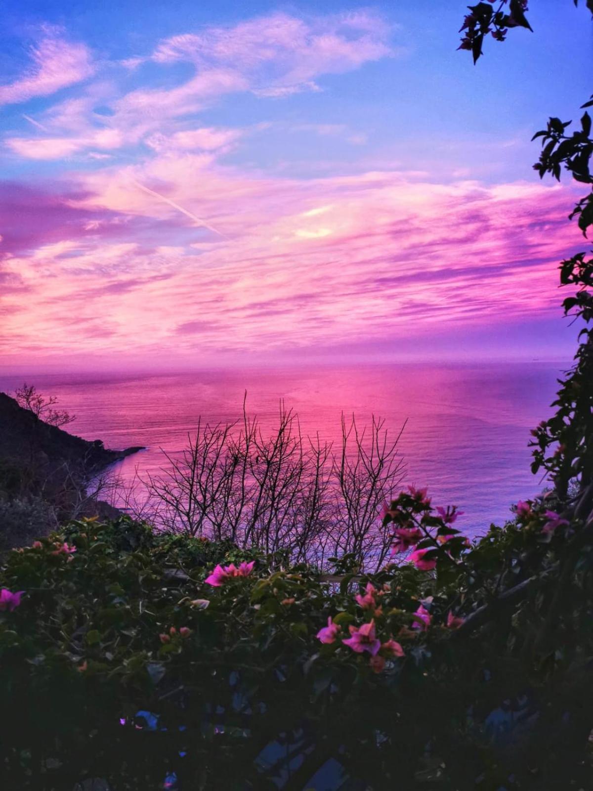 Rosablu Vacanza Tra Mare E Parco Di Portofino Camogli Exteriör bild